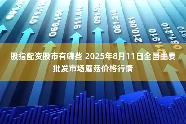 股指配资股市有哪些 2025年8月11日全国主要批发市场蘑菇价格行情