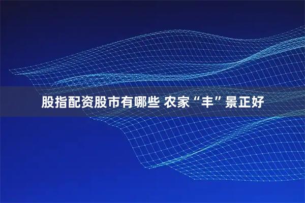 股指配资股市有哪些 农家“丰”景正好