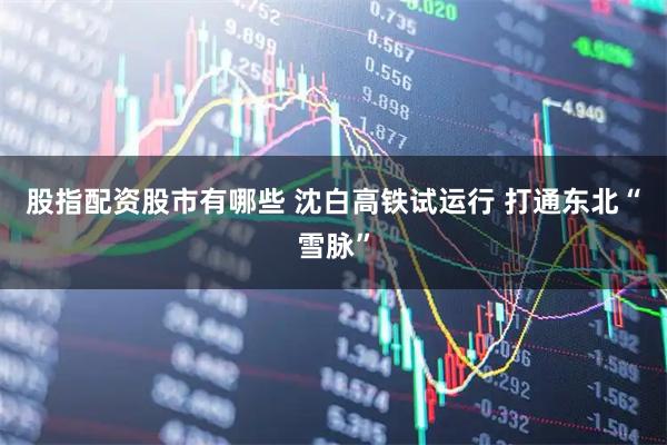 股指配资股市有哪些 沈白高铁试运行 打通东北“雪脉”
