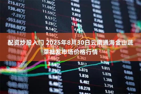 配资炒股入门 2025年8月30日云南通海金山蔬菜批发市场价格行情