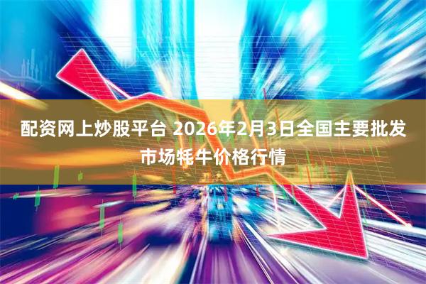 配资网上炒股平台 2026年2月3日全国主要批发市场牦牛价格行情